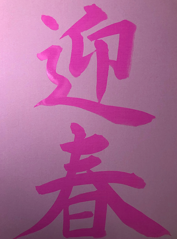 お客様の声 三浦伸晴 様